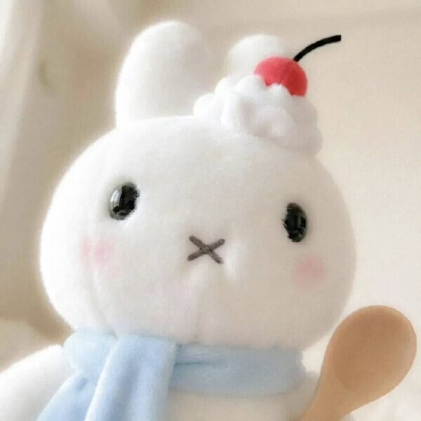 おはようございます🐇💗
