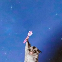 ひなた
