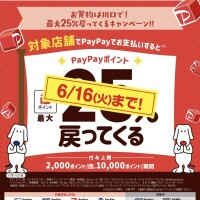せいら