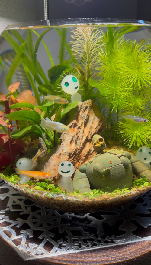 11月のスケジュールの件