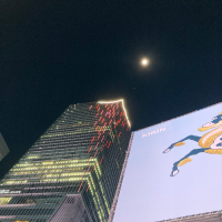 謹賀新年今宵は満月