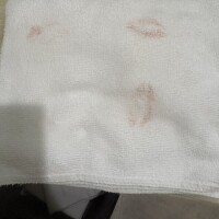 なほ