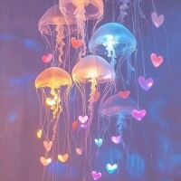 今日は17時半からいます🐧💓