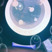 好きなもの
