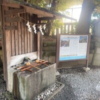 おはよう🌞