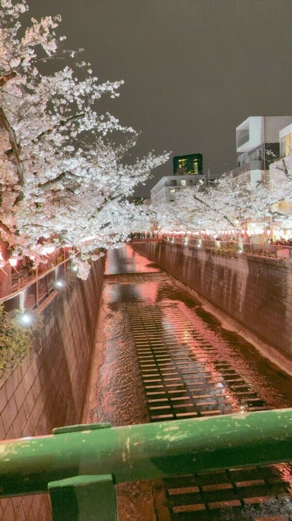 3月のお礼