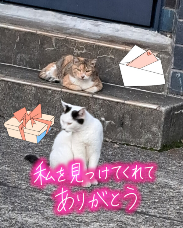 本指名のS様o(^o^)o