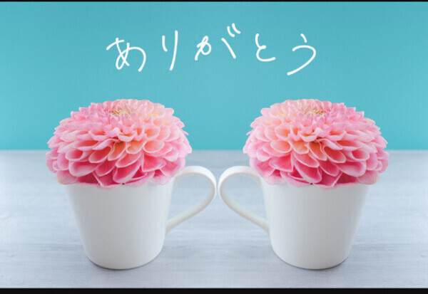 ありがとうございました💕