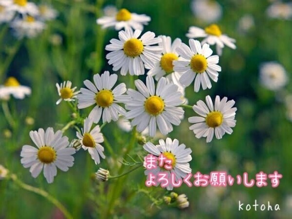 また