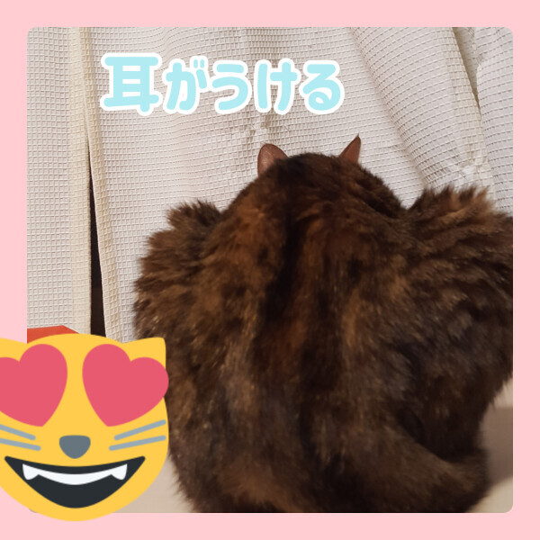 本指名のU様( ・∀・)