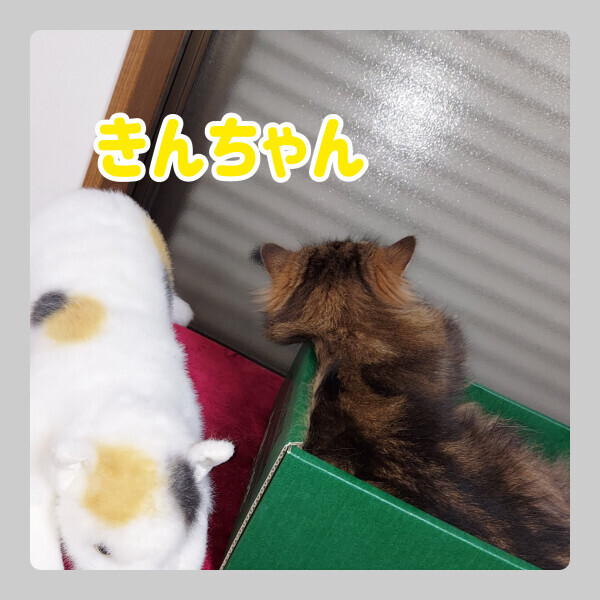 ご自宅のお客様＼(^-^)／