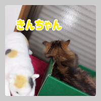 もか