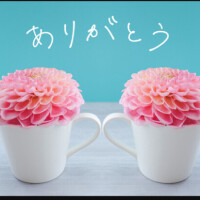 ゆうな