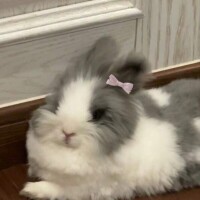 うたは