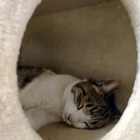 本日は🌟