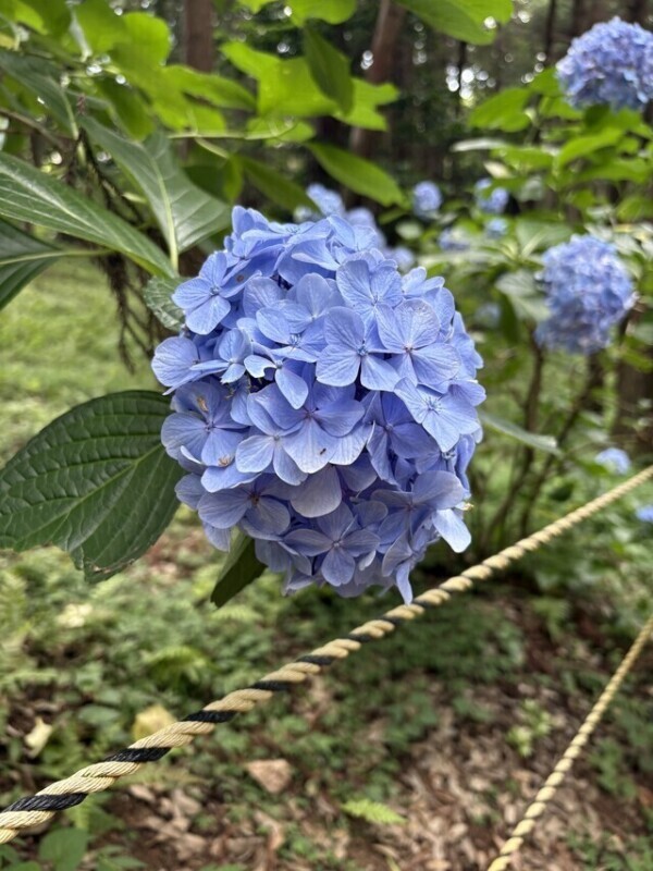 出勤しました❣️
