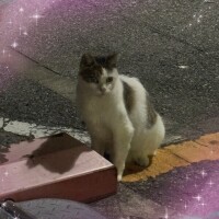 お誘い待ってます(*¯︶¯♥)