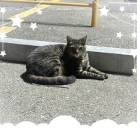 出勤しました💭💖👀