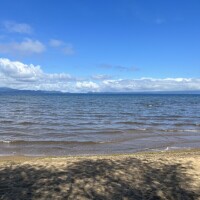 夏🏖