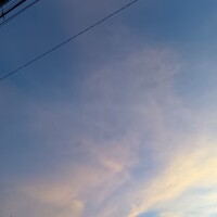 出勤します❤️