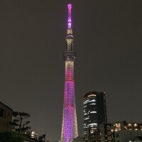 なぎさ