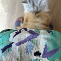 朝までとろけるひととき