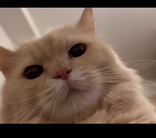 今すぐ逢えます❣️