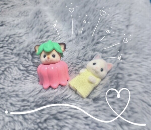 仲間が増えました🐾