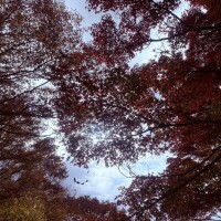 明日の夜、お待ちしてます🫧ྀི