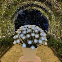 ありがとう♡⃛