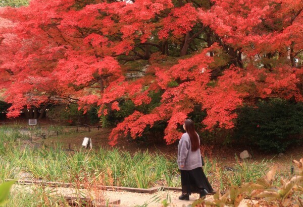 本日出勤です🕊️✨️