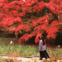 本日出勤です🕊️✨️