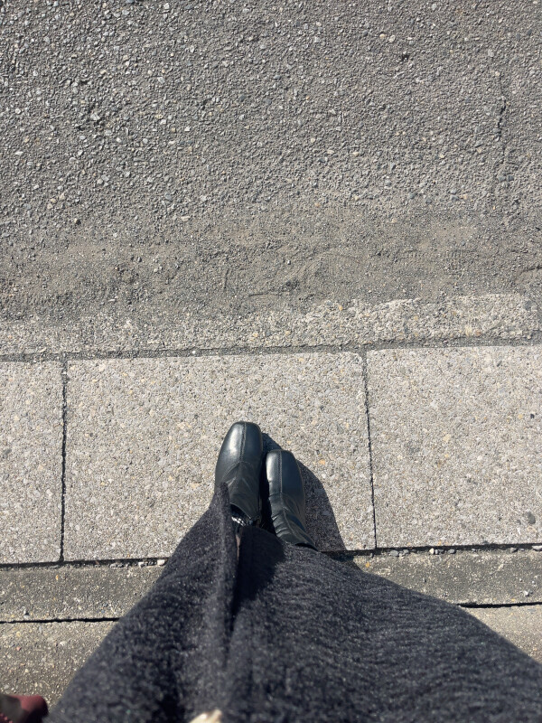 今日は日向ぼっこ日和☺️☀️