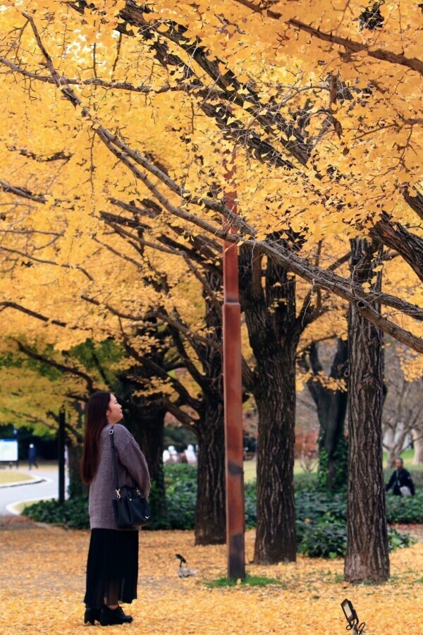 出勤しました🕊️✨️