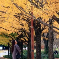 出勤しました🕊️✨️