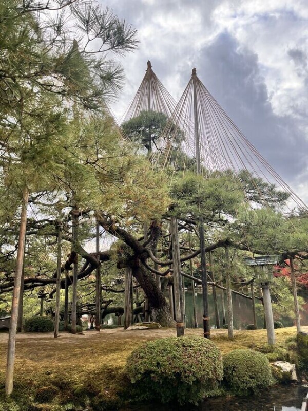 出勤したよー🌙