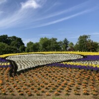 おはようございます( ˶˙ᵕ˙˶ )☀️