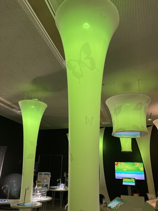 出勤しました🍀*゜