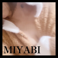 もっふり(*´ω｀*)みやび