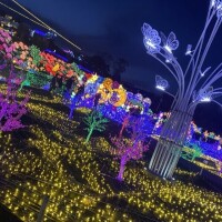 𝐺𝑜𝑜𝑑 𝑚𝑜𝑟𝑛𝑖𝑛𝑔︎‪🔆‬