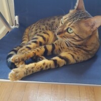 お題]from:columbooさん