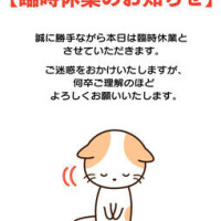 ごめんなさい🥹