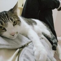 舌の👅お掃除ニオイケア完了😊