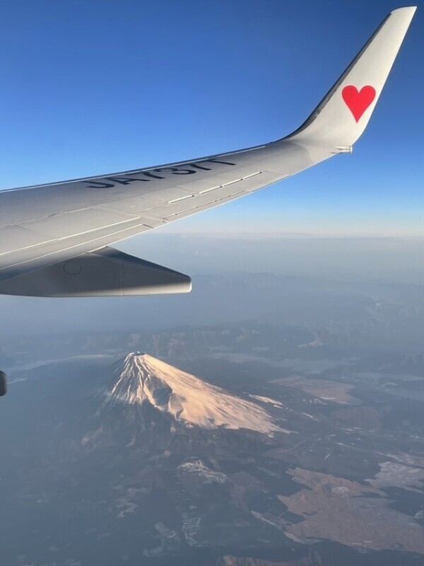 残念な報告(＞＜)