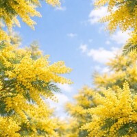 月曜日21ー2時♪