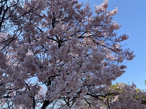 出勤したよぉ♡