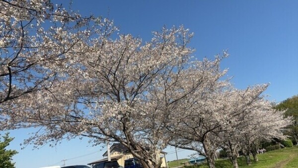 タイミング合えばぜひ❣️