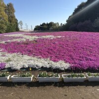 つむぎ