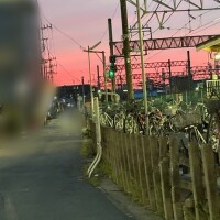 綺麗な夕日
