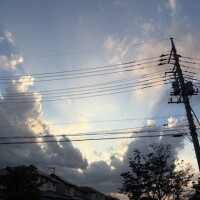 もな